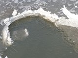 22.Februar 2011  0079
